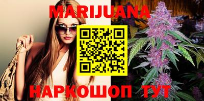 спиды Дубна