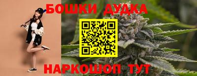 спиды Дубна