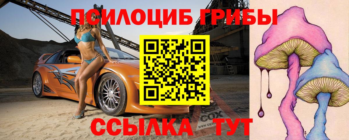 Галлюциногенные грибы Psilocybine cubensis Набережные Челны
